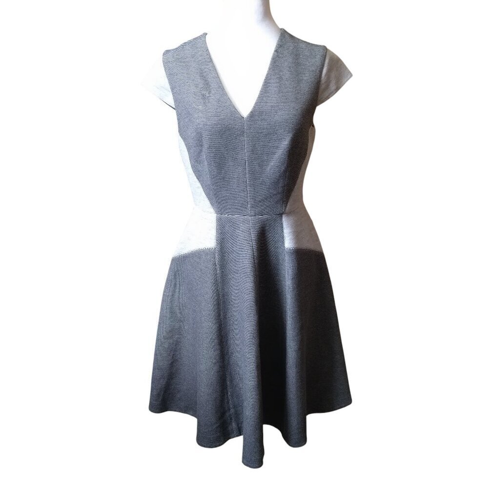 Rebecca Taylor Size 6 V-Neck Fit & Flare Zip Back Dress Office Classic Career